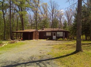 11291 S L Lakes Bridge St, Baldwin, MI 49304