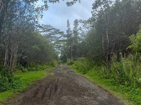 Road 10 Poouli Lot 5725, Kurtistown, HI 96760