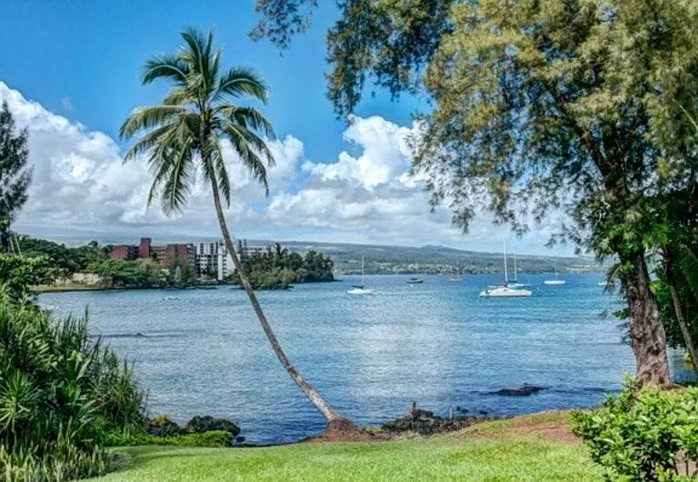 355 Kalanianaole St #332 — Photo 2