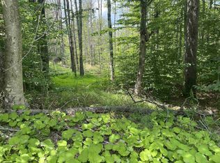 60 Slopeside Rd, Davis, WV 26260