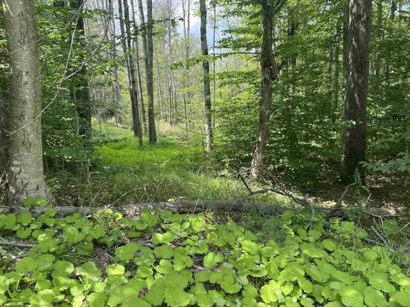 60 Slopeside Rd, Davis, WV 26260