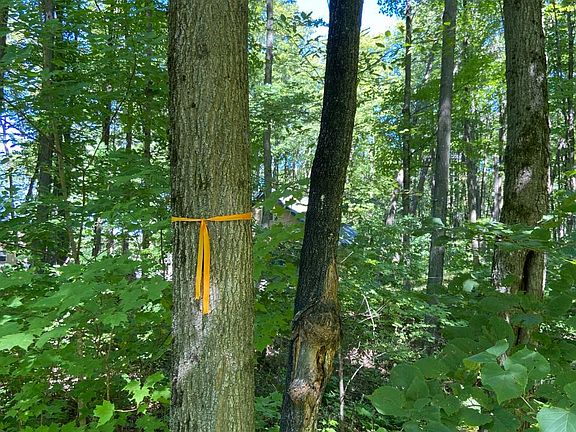 2nd image of 6814 Little Long Lake Ln