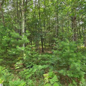 Lakewood Dr Lot 278, Oscoda, MI, 48750