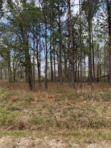 17th St #18, Bay Saint Louis, MS, 39520
