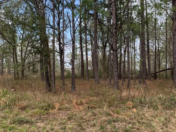17th St Lot 18, Bay Saint Louis, MS 39520