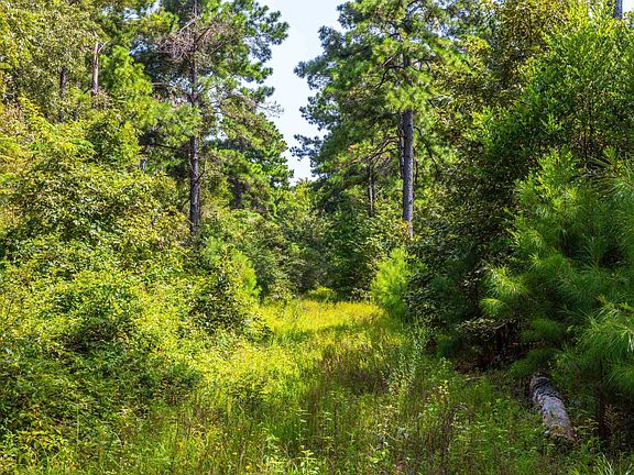 2nd image of TRACT 9 County Road 4222