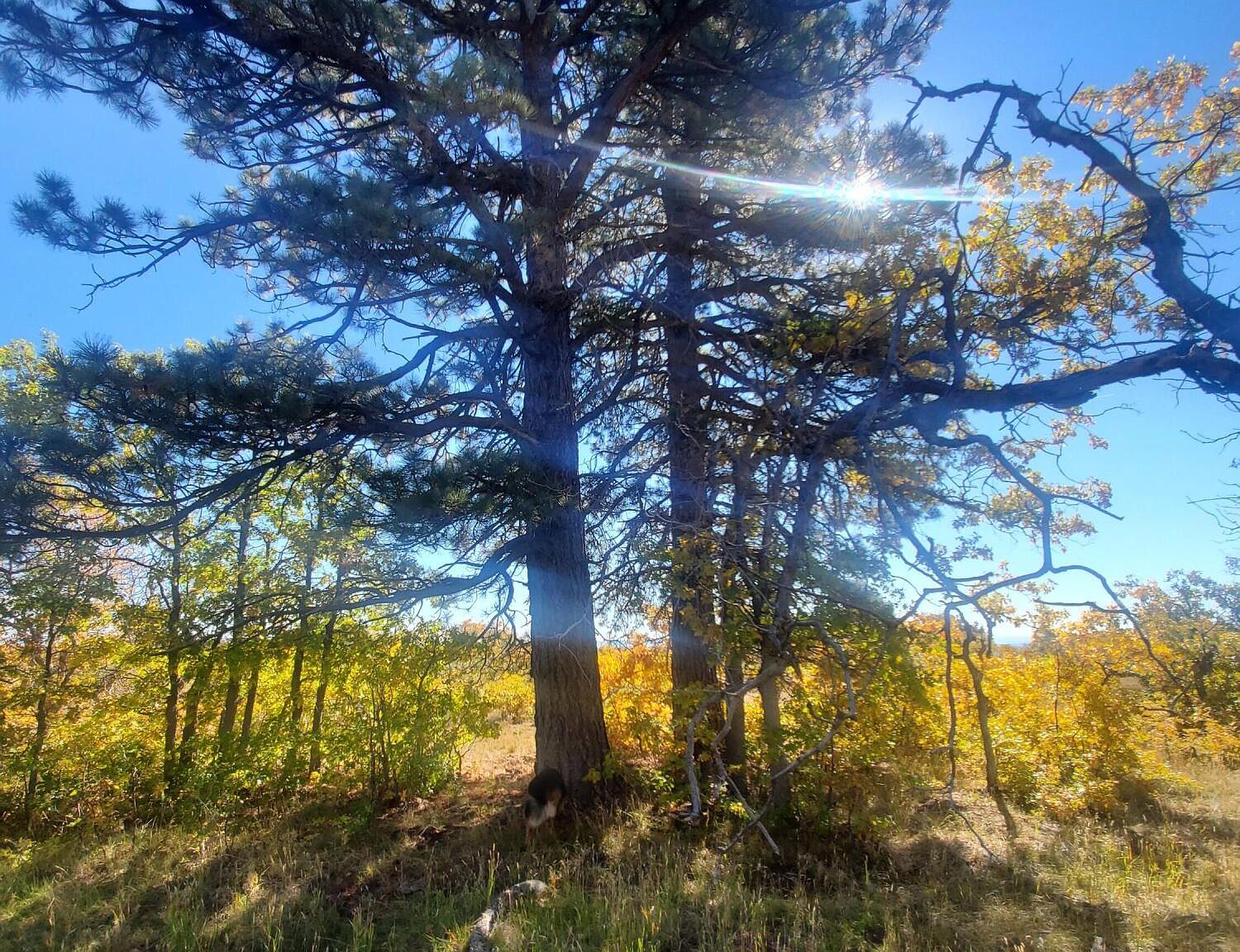 LOT 9 Kolob Rd, Virgin, UT 84779 MLS 24251150 Zillow