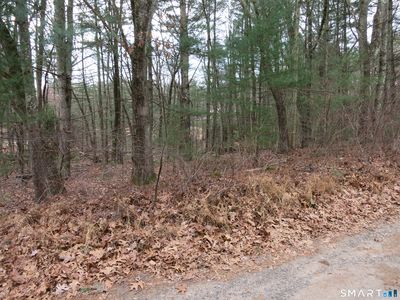76 White Sands Road, Moodus, CT, 06469