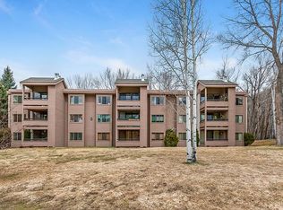 313 Vine St #313, Aspen, CO 81611