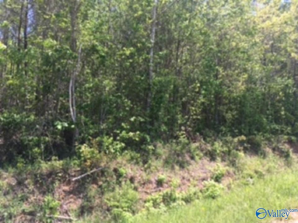 2nd image of County Road 1453