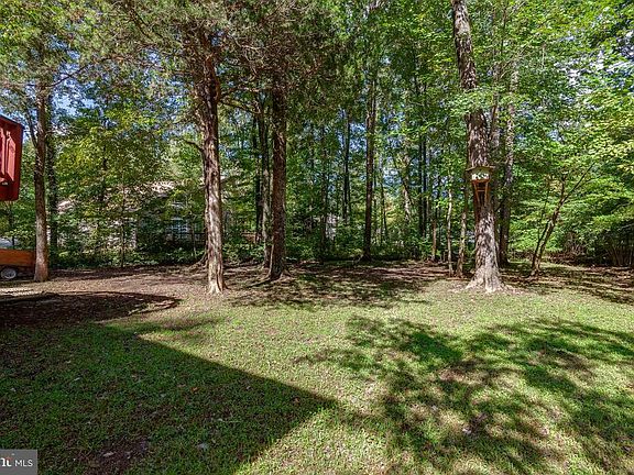 View of large backyard