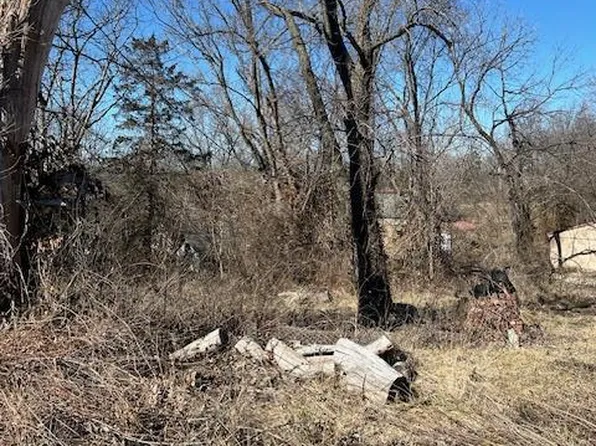 613 Main St, Leadwood, MO 63653