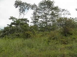 Lot 884, Keaau, HI 96749