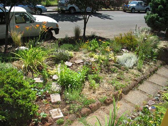 Front Garden
