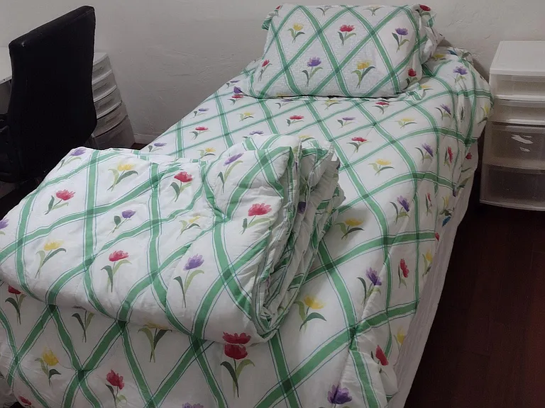 Bedroom #3 bed