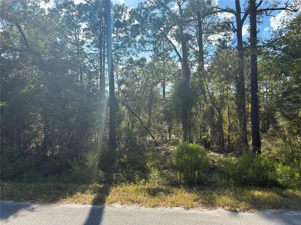 NW Redwing Rd Lot 36, Dunnellon, FL 34431