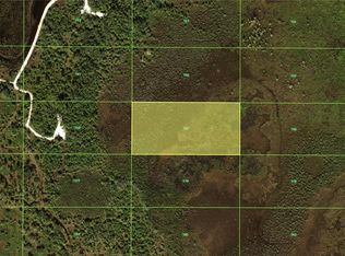 49667 Bermont Rd, Punta Gorda, FL 33982