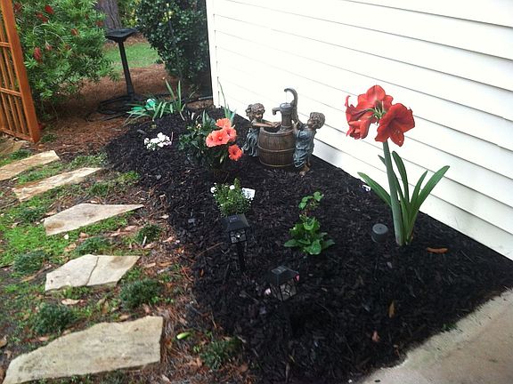 Backyard garden area