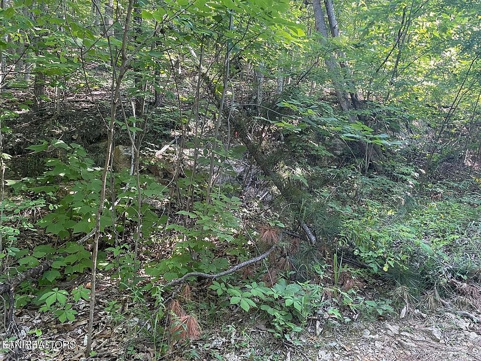2nd image of 22 Elderberry Dr Lot 22