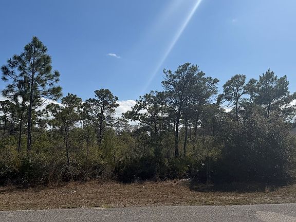 4th image of 339 Blue Heron Dr