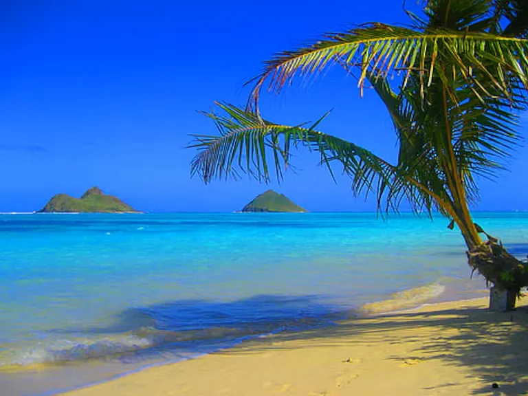 10 minute walk from apartment to the World Famous Kailua Beach