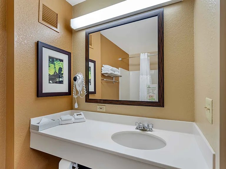 Studio Suite - 2 Full Beds
