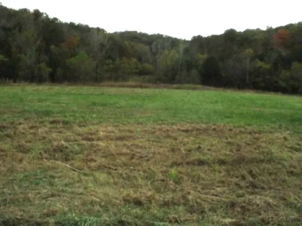 798 Red Tuttle Rd, Bethpage, TN 37022