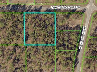 13280 Downy Woodpecker Rd, Brooksville, FL 34614