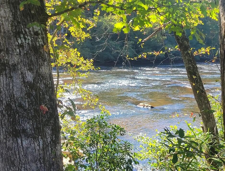 1st image of 6 Riversound Vlg