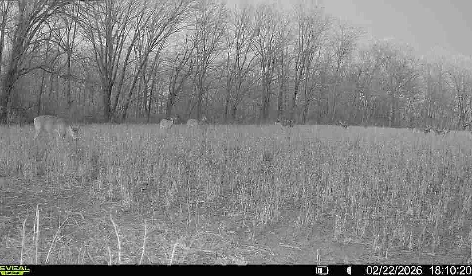 1st image of 0 E Us Highway 136