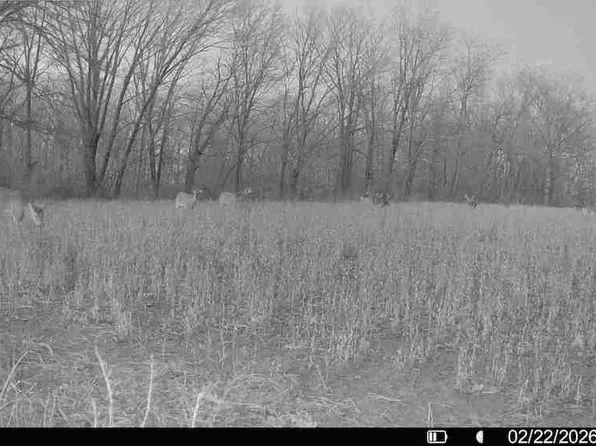 0 E Us Highway 136, Carthage, IL 62321