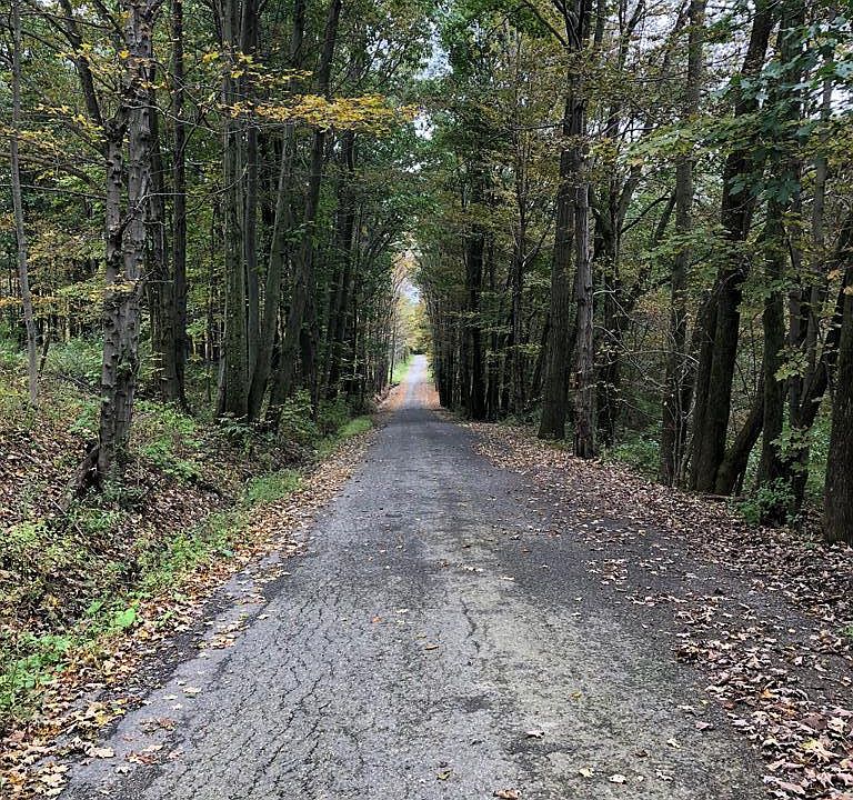 2nd image of 0 Harding Rd