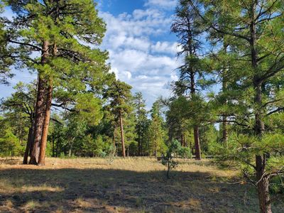 4151 Sky Mountain Dr LOT 238, Happy Jack, AZ, 86024