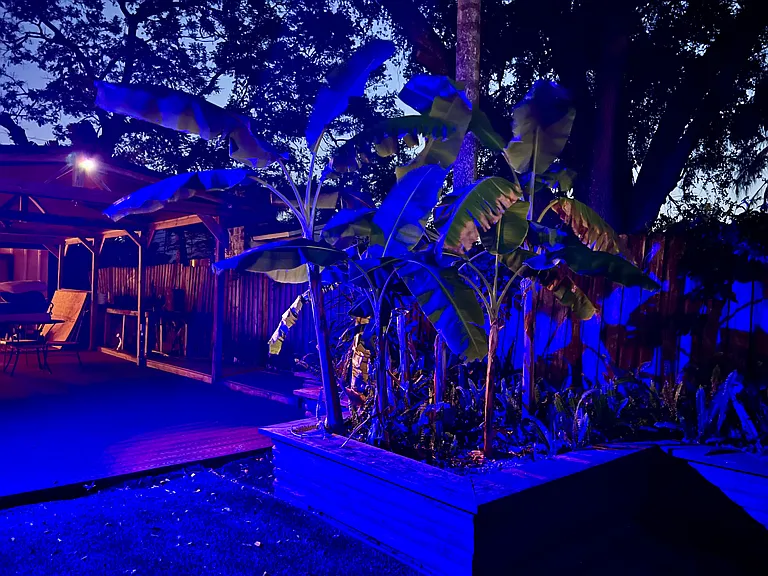 610 Ventura Ave — Photo 44