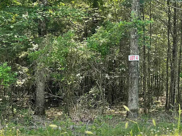 4 Pleasant Ridge Rd, Higden, AR 72067