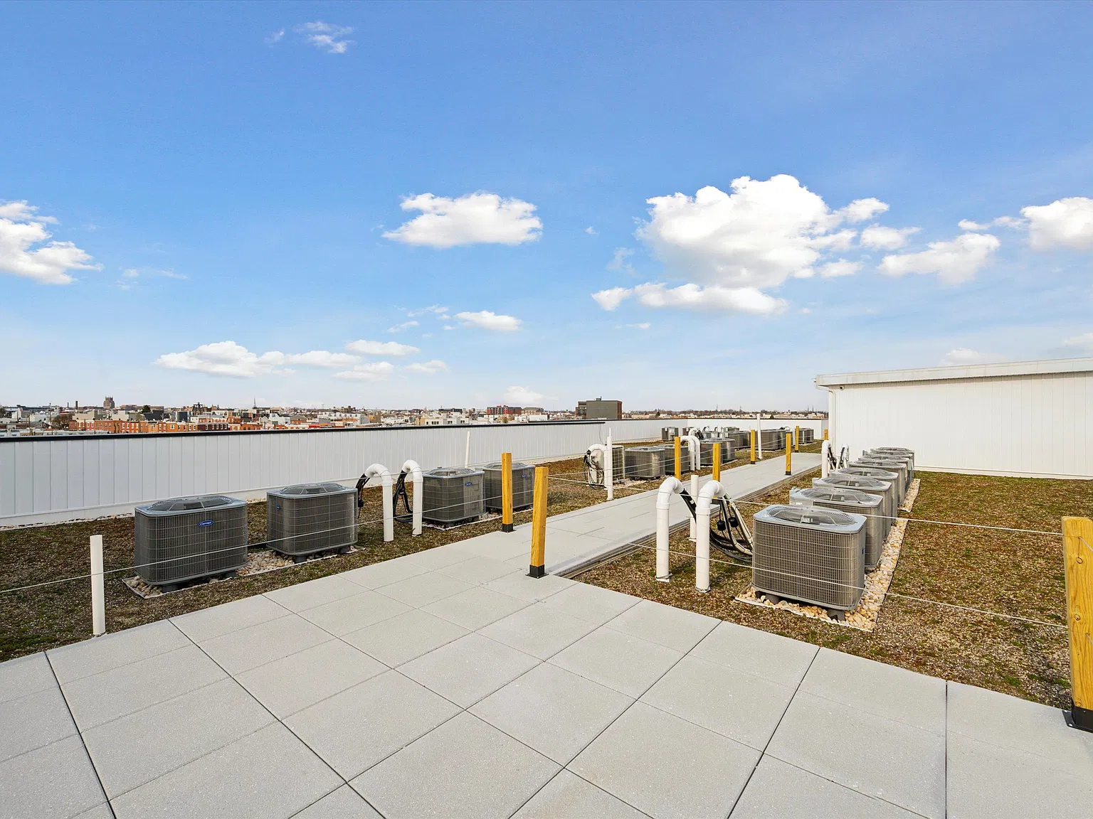 1221 E Fletcher St Unit 401 — Photo 3