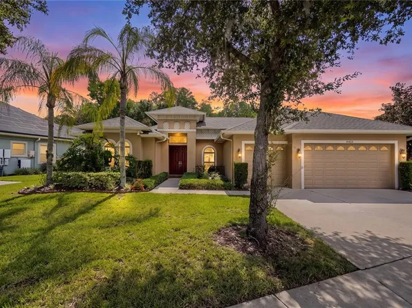 14834 Man O War Dr, Odessa, FL 33556