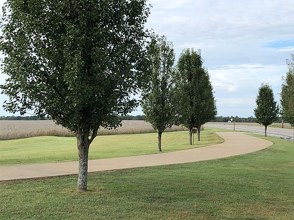 Concrete tree lined driveway