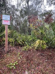 TBD NE 410th Ave, Old Town, FL, 32680