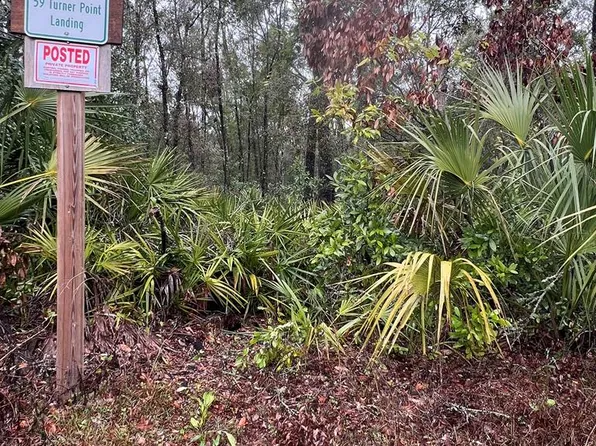 TBD NE 410th Ave, Old Town, FL 32680