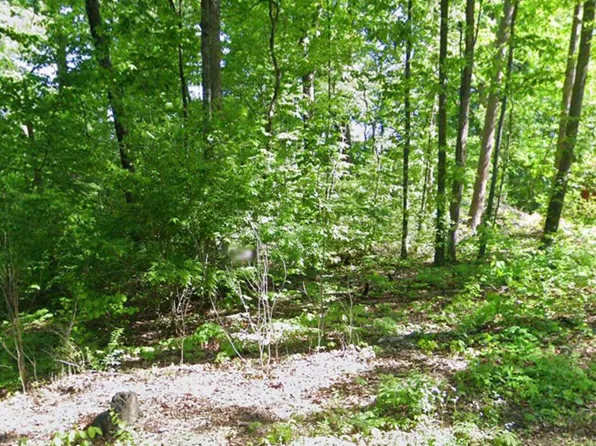 0 Fox Chase Rd, Newport, TN 37821