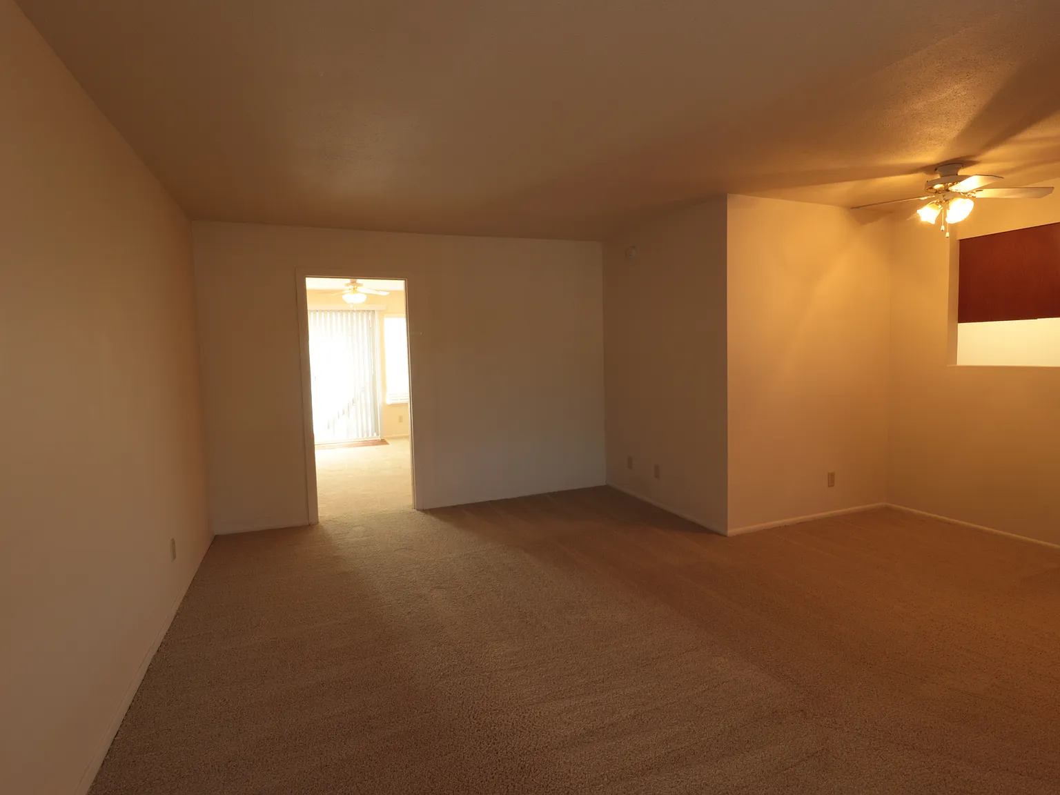Raleigh Firs Apartments — Photo 3