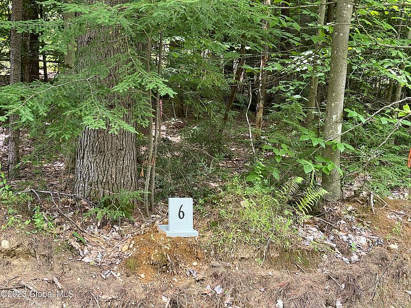 3rd image of 6 Adk Acres prvt. Road (Lot8)