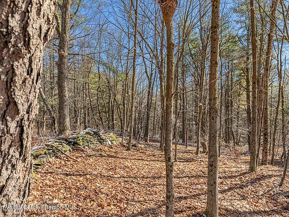 4th image of Lot 2 Snydertown Road