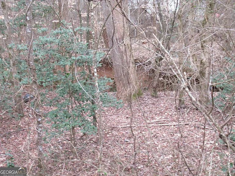 48 Cane Creek Cmns — Photo 19