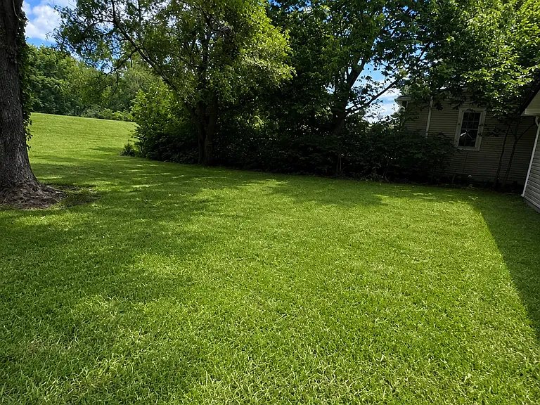 Grass backyard for the house behind the garage