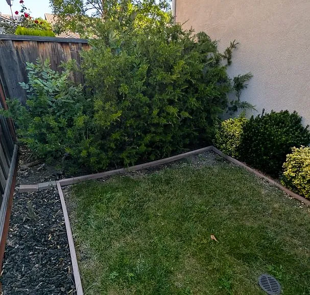 90 Plumeria Ct — Photo 37