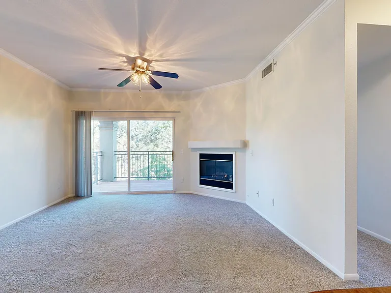 Apartment living room with plush carpet flooring.