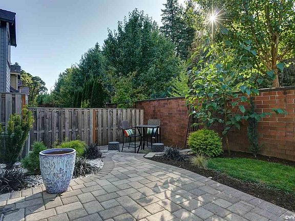 Back yard