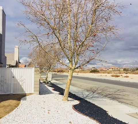 5th image of 6055 Barcelona Dr